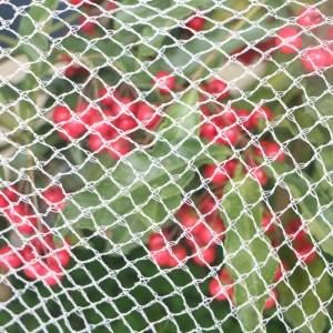 Manufacturing Companies for Tulle Netting For Garden - Knitted Anti Bird Net  – Three Sheep