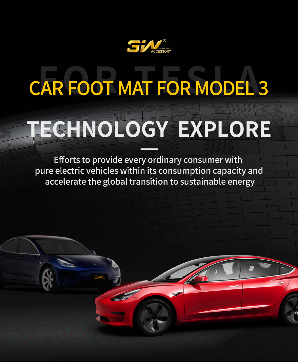 TPE car mat for Tesla1