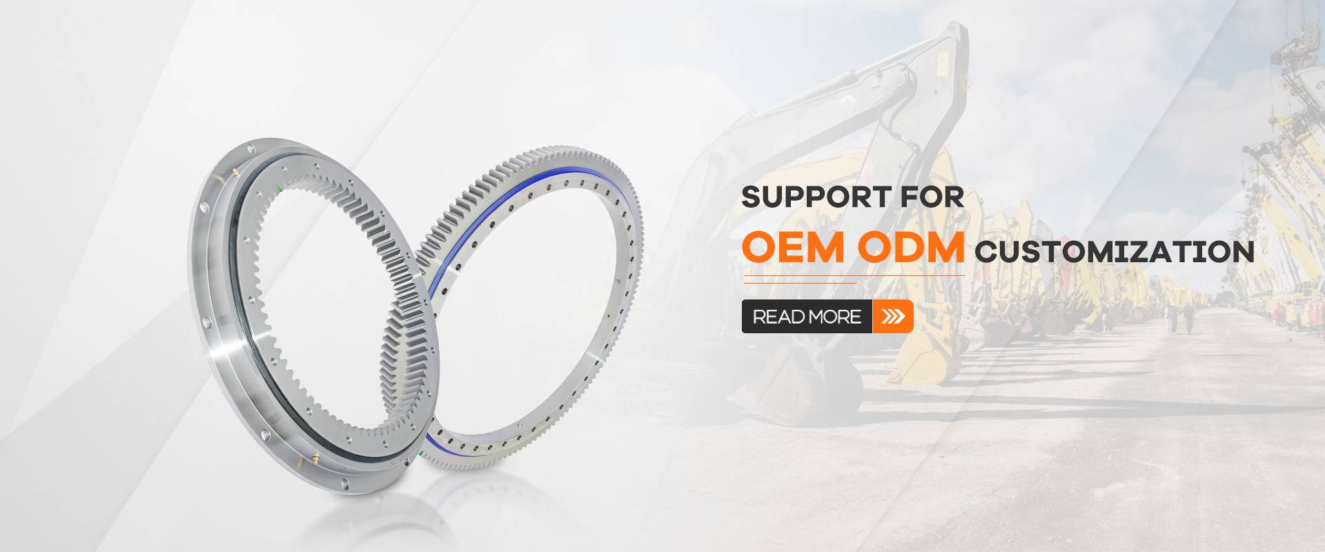 Support for OEM ODM customization