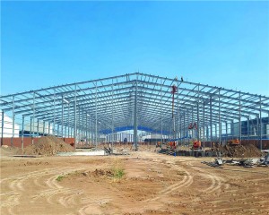 Light Steel Structure Workshop In Algeria