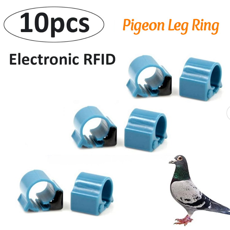 Mga Tag ng RFID Pigeon Ring para sa Pagsubaybay at Pagkakakilanlan ng Hayop |Accory