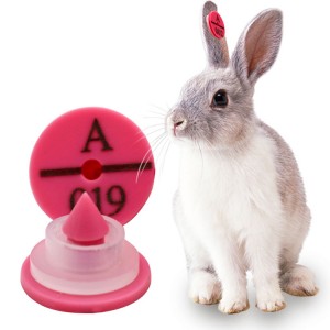 Rabbit Ear Tags, Rabbit Identification Tags 18RA |Accory