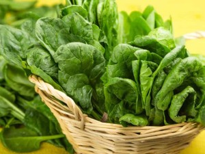 Powder e phahameng ea Protheine Organic Spinach