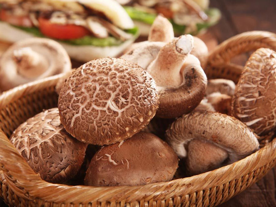 Bubuk jamur Shiitake organik