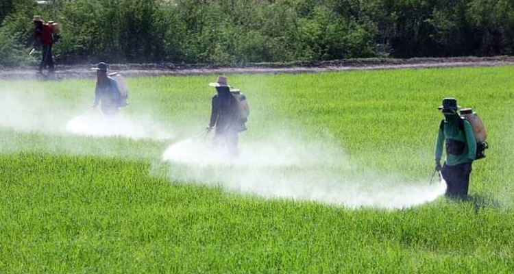 Protege agros tuos bombacio et vegetabilia apud Profenofos insecticides
