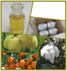 殺虫剤 ビフェントリン 97% TC 40% SC 2.5%EC 25%SC 10%EC CAS 82657-04-3