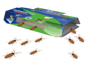 Pampublikong Health pest control-Cockroach house CAS-