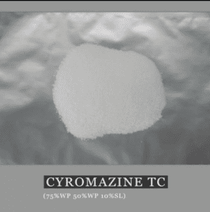 ការកំចាត់សត្វល្អិតសុខភាពសាធារណៈ-Cyromazine 2% WDG CAS66215-27-8