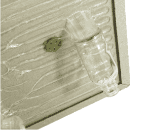 공중 보건 해충 방제-쥐 종이 트랩