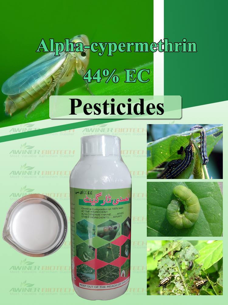 Am fuasgladh deireannach airson smachd air plàighean: Insecticide Alpha-Cypermethrin