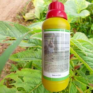 Polowa Kolej Drogowa pestycydy rolnicze glifosat herbicyd 480sl