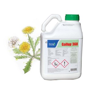 glifosat herbisit Teo Ĝardeno Maizo Kampo Sukerkano Kampo Vojo Fervojo agrikulturaj pesticidoj glifosata herbicido 480sl