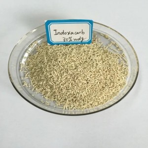 Indoxacarb 150 sc emamectine benzoat 4%+ indoxacarb 12 tc indoxacarb + chlofluzuron insecticide pour échalotes
