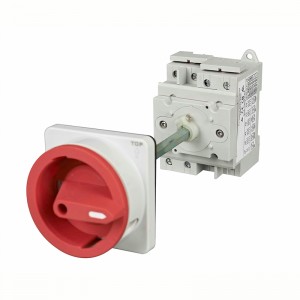 Base Mount (Door Coupling) PM2 Series DC Isolator Switch