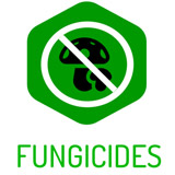 fungicid-icoană