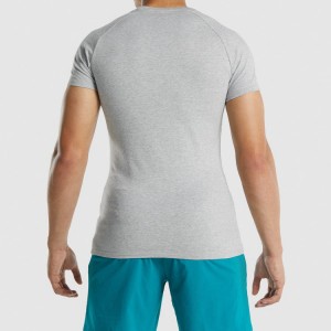 Hoge kwaliteit Bodybuilding Raglan Slim Fit Heren Custom Blank Gym Sports T-shirts