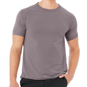 Dènye konsepsyon Wholesale Custom Blank Slim Fit Polyester Spandex Gason Fitness T Shirts