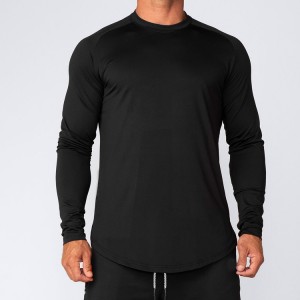 도매 곡선 바닥 Raglan 긴 소매 일반 슬림 피트 체육관 남자 T 셔츠 사용자 정의 로고