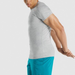 Ikhwalithi Ephakeme Yokwakha Umzimba I-Raglan Slim Fit Men Custom Blank Gym Sports T Shirts