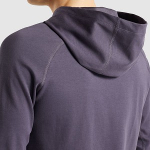 Трговија на големо со приватна етикета Раглан за вежбање пуловер обични спортски памучни качулки за мажи