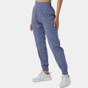 Velkoobchodní lehké dámské fitness sportovní nylonové kalhoty s elastickým pasem