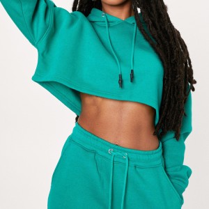 OEM Fitness Logotipo pertsonalizatua Fleece Cotton Essentials Drawstring Women Blank Crop Hoodies