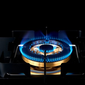 Trendig generös och enkel stil 2-brännare inbyggd gashäll med unik design