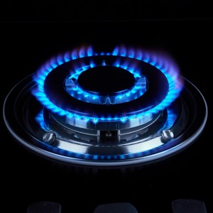 4 Sabaf brander LPG gasfornuis hittebestendig en gelijkmatige vlam