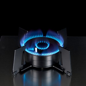 Stufa à Gas 2 Bruciatori Cucina à gas magica Temporizazione di u Burner Flipped Pianu à Gas Custruitu