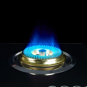Cina all'ingrosso Elettrodomestico da cucina da incasso a doppio bruciatore a gas GPL