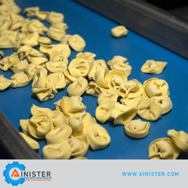 Pelmeni Machine and Production Solution Featured Image