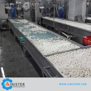 OEM China Stainless Steel Vegetable Cutter - Fish Ball Production Line – Ainister