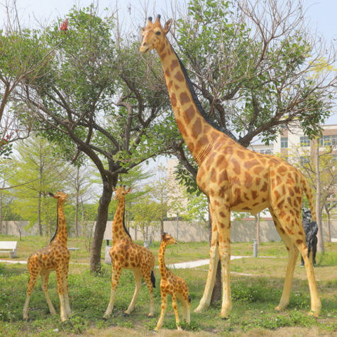 Kā izveidot un izveidot savvaļas dzīvnieku tematisko parku?