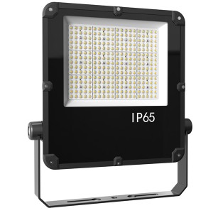 AllGreen AGFL04 LED prožektoriai lauko LED prožektoriai