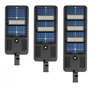 Alles in einer solarbetriebenen LED-Straßenleuchte AGSS01