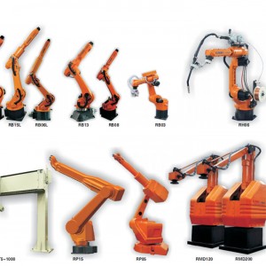 Automatic palletizing robot (Articulated robot for handling)