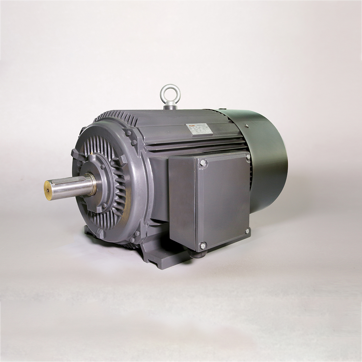 Yakaderera Voltage 3-Phase Asynchronous Motor ine Cast Iron Housing