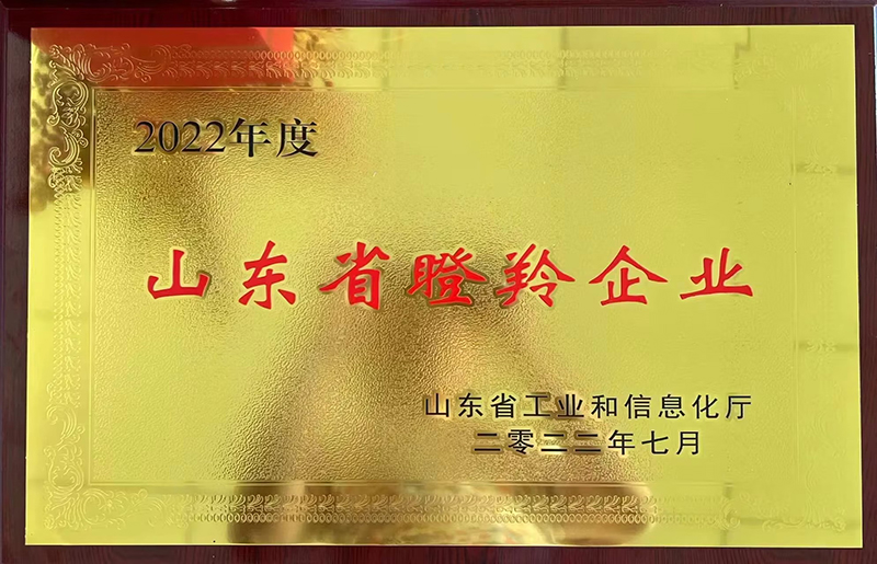 Weihai Allwin Цахилгаан ба Механик Техник.Co., Ltd 2022 онд хүндэт цол хүртсэн