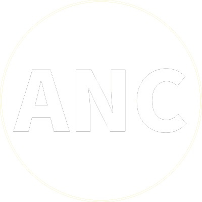 ANC trådlösa hörlurar