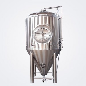 Isolated Head Conical Fermenter