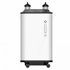 China ZY-10ZW 10L Medical 95% High Purity Oxygen Concentrator CE Certification with big LED screen factory and manufacturers | Yameina