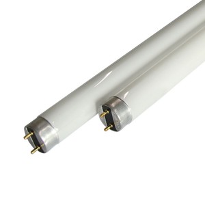 Factory Supply Attractive Price 18W 2Ft T8 Mosquito Lamp Tube