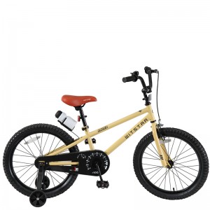 20'' Boy bike մանկական հեծանիվ /23WN041-20”