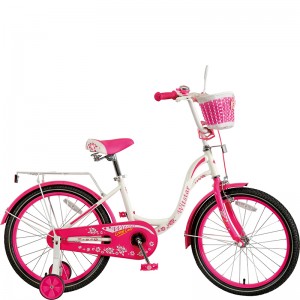 20 դյույմ մանկական հեծանիվ աղջիկների համար կրիչով/23WN049-20”