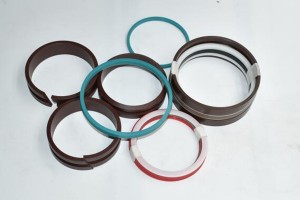 Plunger Cylinder Seal Kit Schwing