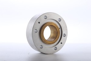 Schwing Support Bearing