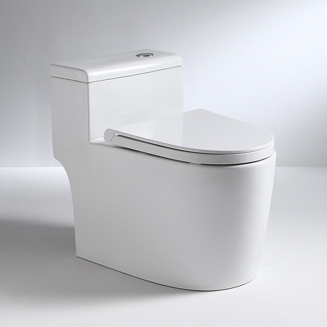 Badkamer porselein lage tank S Trap toilet uit één stuk
