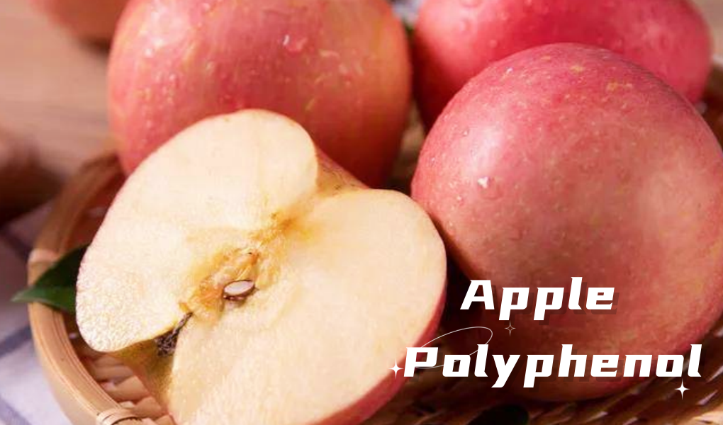 Apple polyphenols: Nature’s secret weapon  for cell health