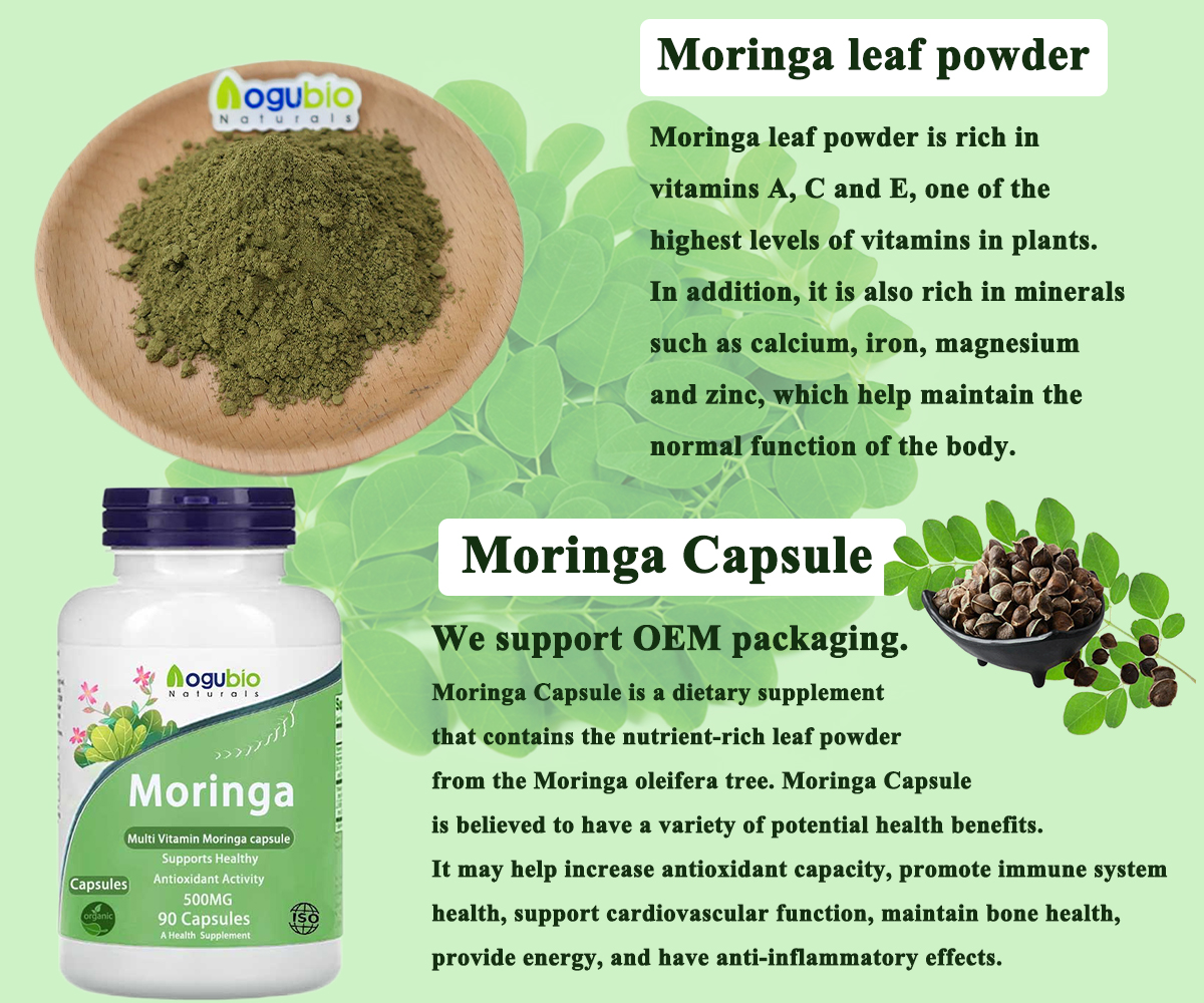 Explore the wonders of nature – a comprehensive introduction to Moringa leaf powder