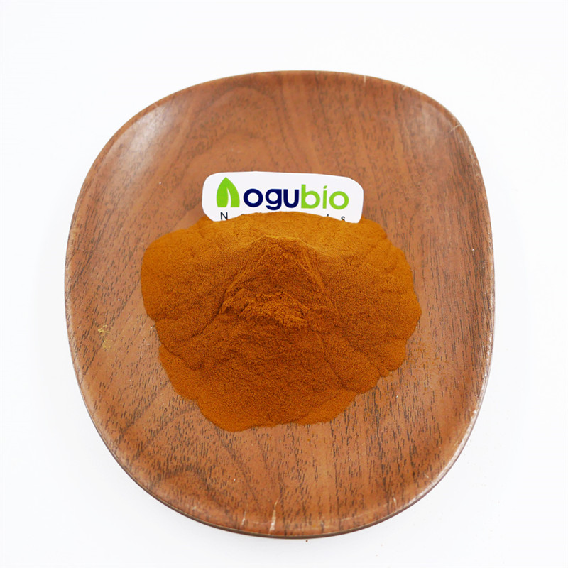 Organic Pleurotus Extract 30% Powder